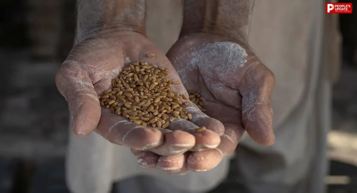 पाकिस्तान में पौष्टिक भोजन का संकट, फल-सब्जियों की भारी कमी; 60% से ज्यादा आबादी के लिए हेल्दी डाइट महंगी