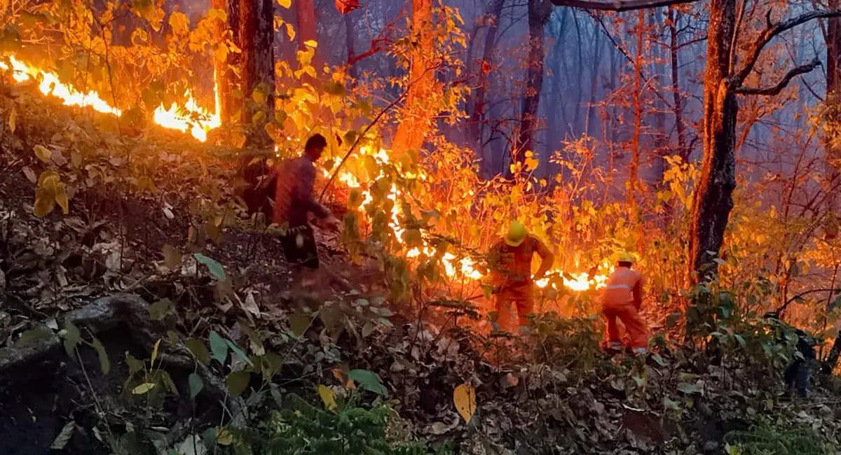उत्तरकाशी के जंगल में भीषण आग, SDRF-NDRF की टीमों ने पाया काबू 