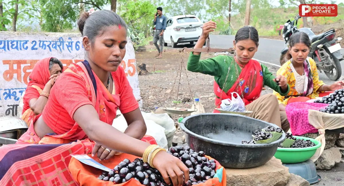 सैलानियों की संख्या घटी, 30 फीसदी तक सिमटा कारोबार