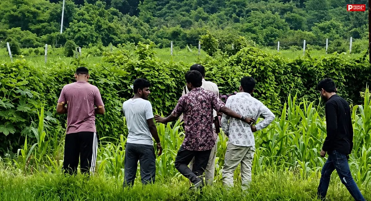 भोपाल: खेत में पड़े बिजली के तार की चपेट में आए पिता-पुत्र, दोनों की मौके पर मौत; जांच में जुटी पुलिस 