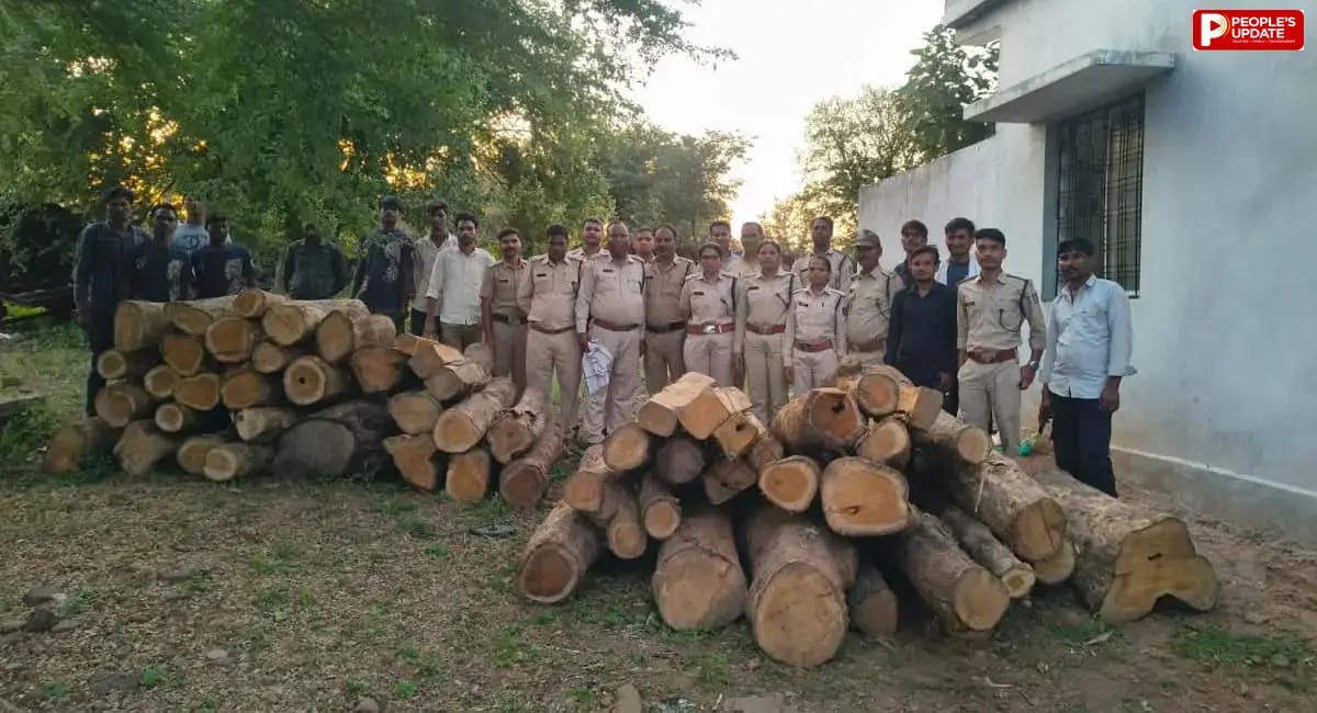 सागर में वन विभाग की कार्रवाई, सागौन की 52 नग लकड़ी जब्त