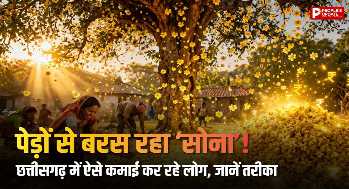 पेड़ों से बदली ग्रामीणों की किस्मत, बिना लागत हो रही कमाई