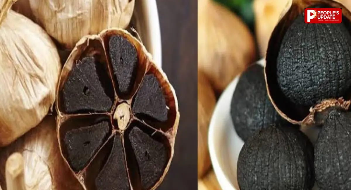 विदेशों में यही काला लहसुन बन गया महंगा सुपरफूड
