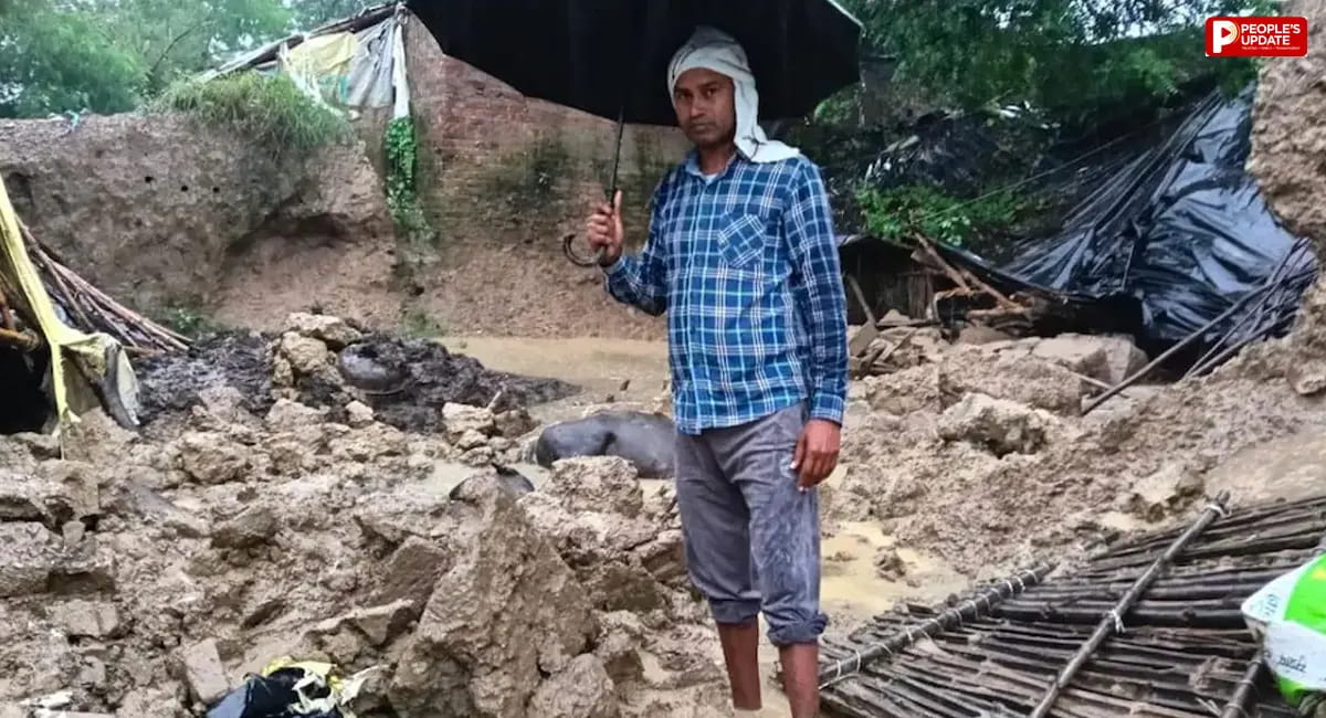 हरदोई में बारिश बनी आफत, पेड़ गिरने से 11 साल की बच्ची की मौत; 6 घायल, 4 भैंसों ने भी गंवाई जान