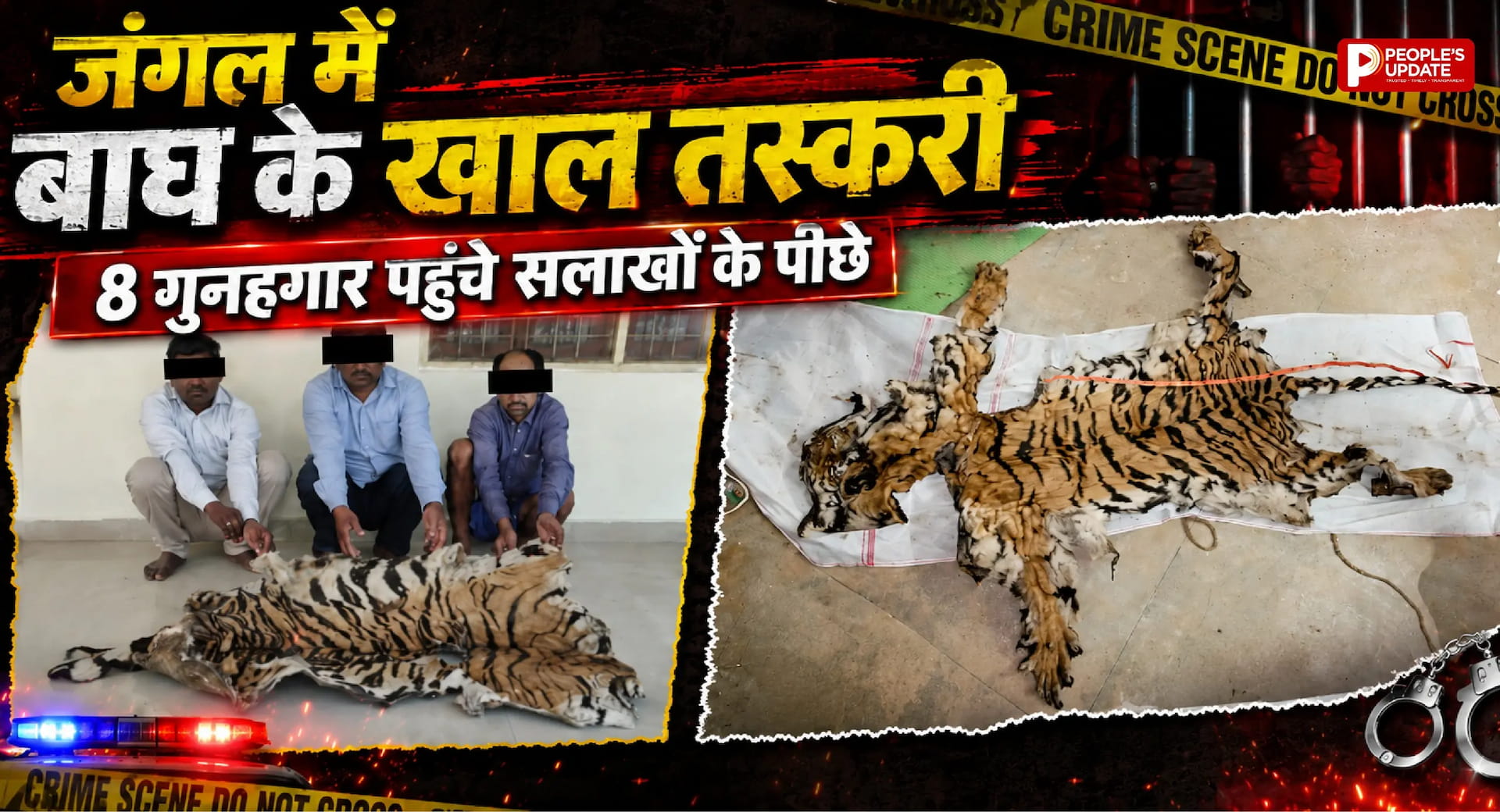 बाघों के शिकारी बेनकाब: इंद्रावती टाइगर रिजर्व में खाल तस्करी सिंडिकेट का पर्दाफाश, 8 गिरफ्तार