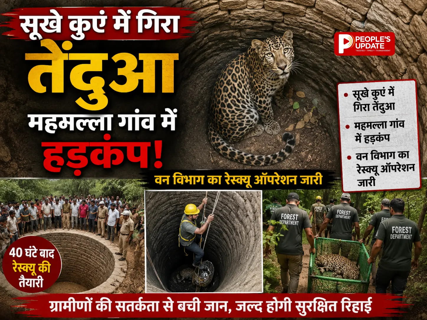 धमतरी में सूखे कुएं में गिरा तेंदुआ, महमल्ला गांव में हड़कंप, वन विभाग का रेस्क्यू ऑपरेशन जारी