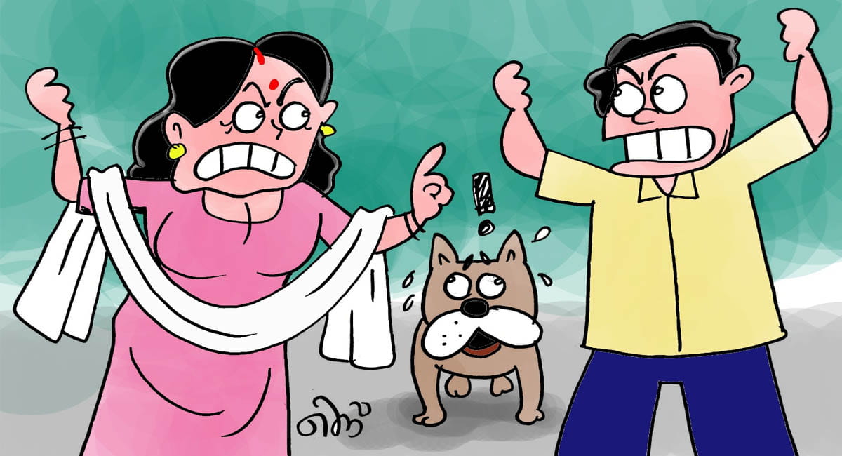 पेट लवर दंपति के बीच झगड़े की जड़ बने उनके पेट्स, तलाक तक पहुंची बात