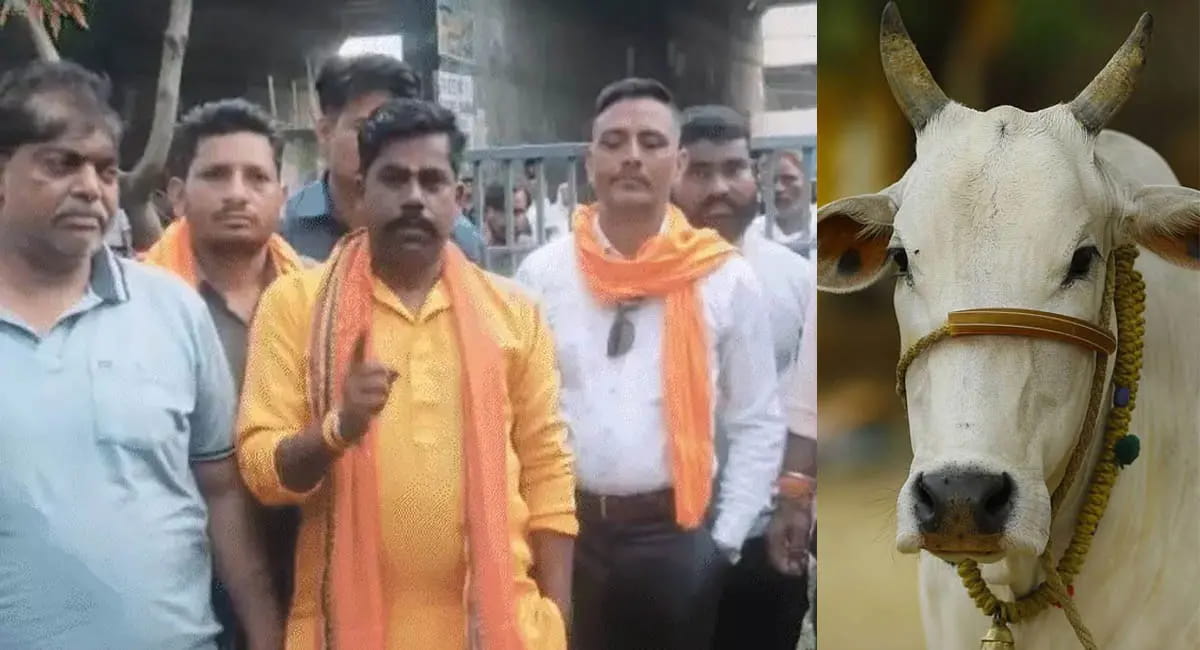 भोपाल में बढ़ रही गौ हत्या और तस्करी की घटनाएं, बजरंग दल करेगी 27 थानों का घेराव, मुख्यमंत्री के नाम ज्ञापन सौंपने की तैयारी