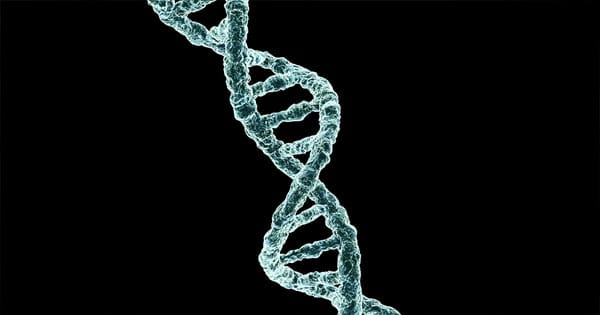 जिस RNA को समझा गया ‘बेकार’, वह नर्व्स को फिर से बढ़ाने में सहायक, चूहे पर किया गया शोध; लकवाग्रस्त मरीजों के लिए उम्मीद की किरण