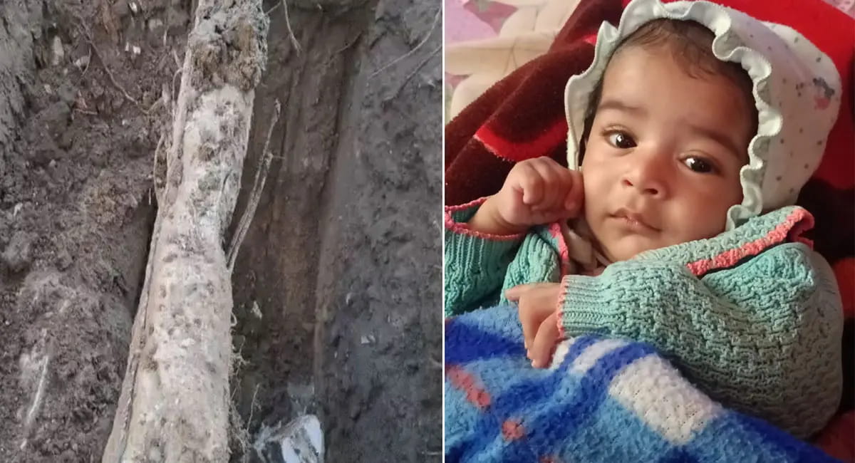 6 माह के बच्चे की मौत, अब तक 10 लोगों की गई जान, सवालों के घेरे में प्रशासन, HC ने मांगी रिपोर्ट