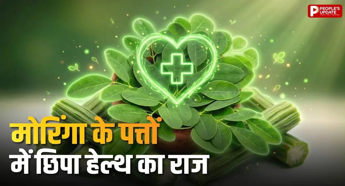 रोज इसके पत्ते खाने से दूर होंगी ये बीमारियां, जानिए इसके बड़े फायदे