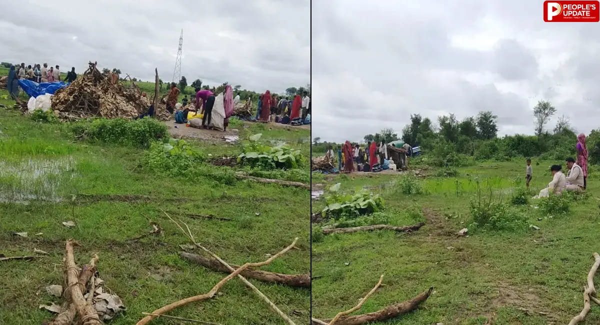 दमोह में वन भूमि से हटाई गई अस्थाई झोपड़ी, वन विभाग ने कराया अतिक्रमण मुक्त