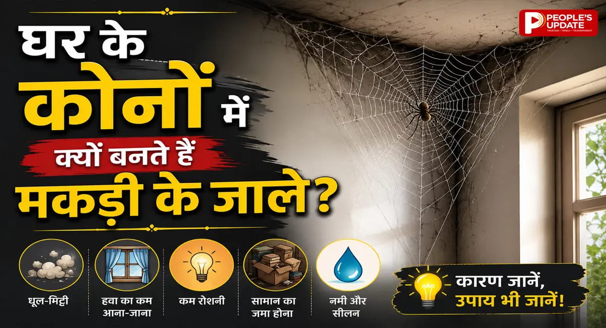 घर में बार-बार लग रहे हैं मकड़ी के जाले? न करें नजरअंदाज, हो सकता है बड़ा संकेत, जानें क्या कहता है वास्तु
