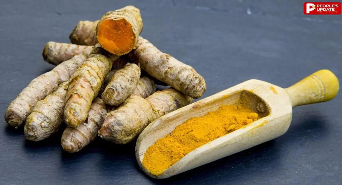 चोट लगते ही हल्दी लगाना कितना सही? जानिए हल्दी का सेहत से कनेक्शन और सही इस्तेमाल