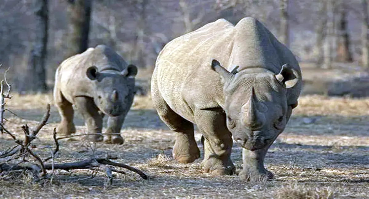 अगले छह माह में पर्यटकों को मिलेंगी नई सौगात