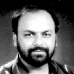Vijay S. Gaur