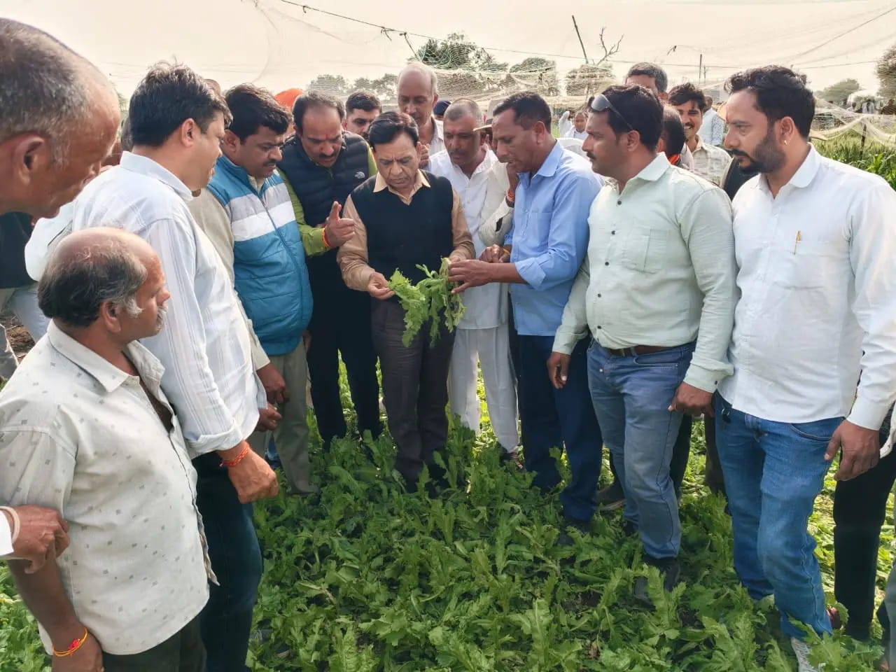 उपमुख्यमंत्री जगदीश देवड़ा पहुंचे खेतों में और देखी अफीम फसल की बर्बादी
