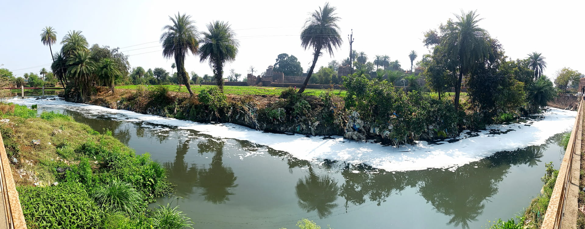 इंडस्ट्रियल वेस्ट- सीवेज के पानी से फल-फूल रहीं धनिया, मेथी व पालक