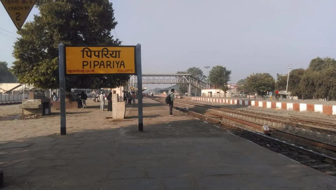 पिपरिया के पास OHE लाइन पर बंदरों का उत्पात, इटारसी-जबलपुर के बीच बंद रहा रेल यातायात