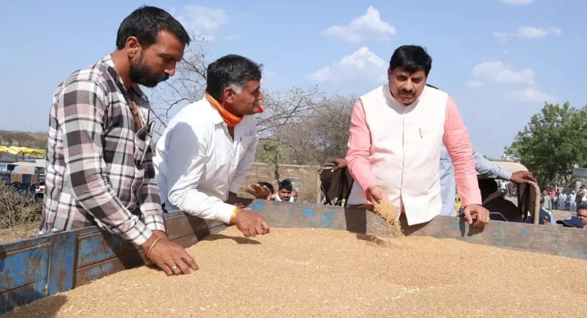 गेहूं उपार्जन केंद्रों पर अचानक पहुंचे मुख्यमंत्री मोहन यादव, सख्त निगरानी और वेयरहाउस क्षमता बढ़ाने के दिए निर्देश
