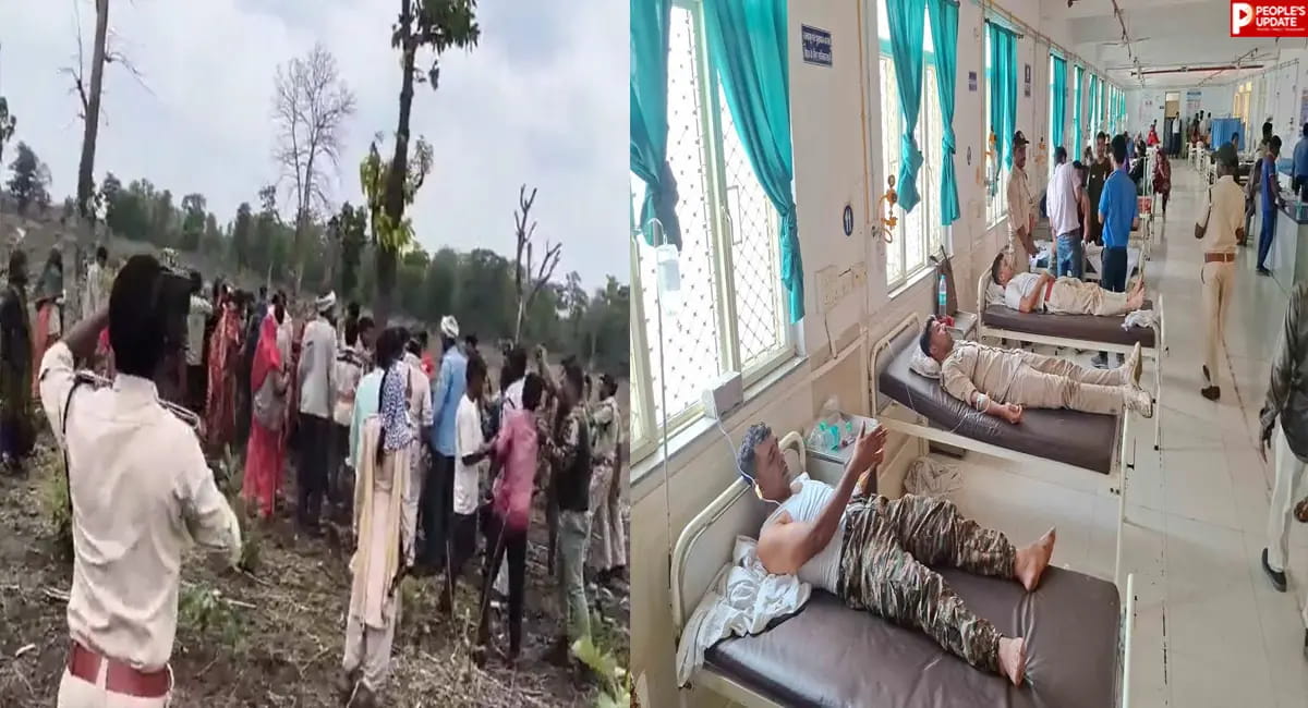 वन विभाग की टीम पर हमला, 200 अतिक्रमणकारियों ने घेरा, 12 से अधिक वनकर्मी घायल