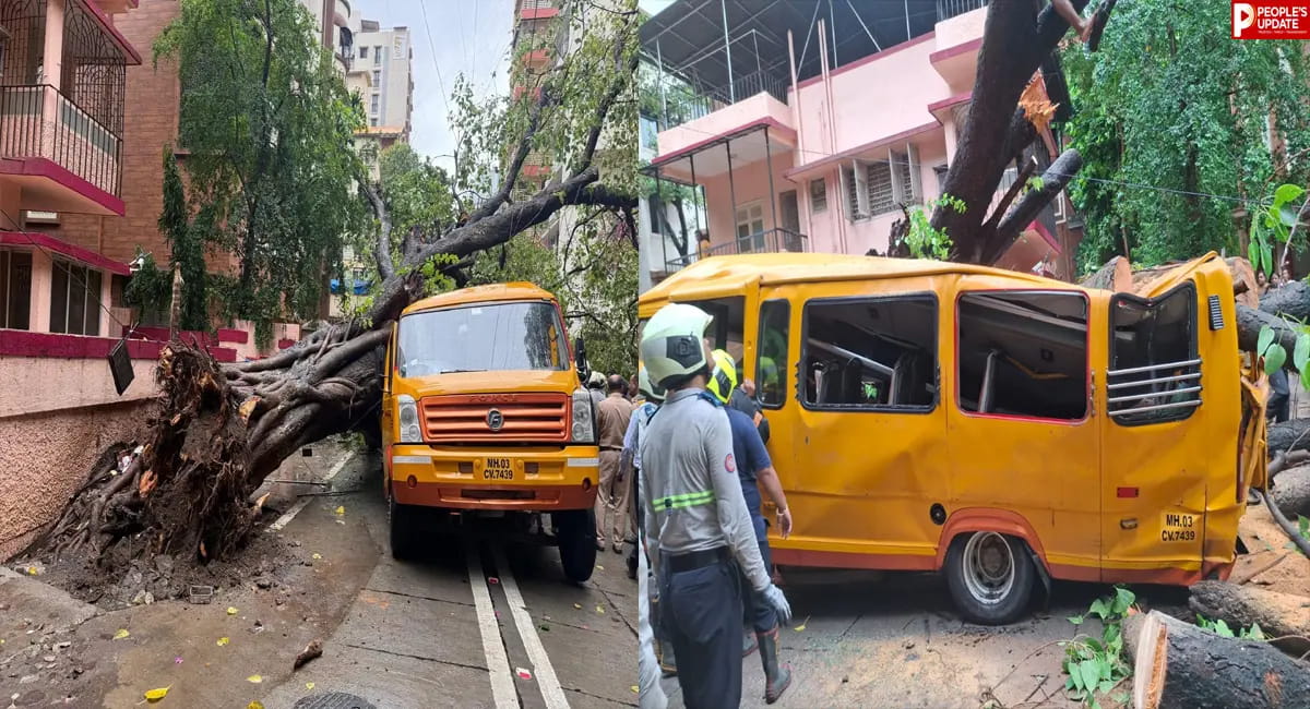 स्कूल वैन पर गिरा पेड़, एक छात्र की मौत, कई बच्चे घायल