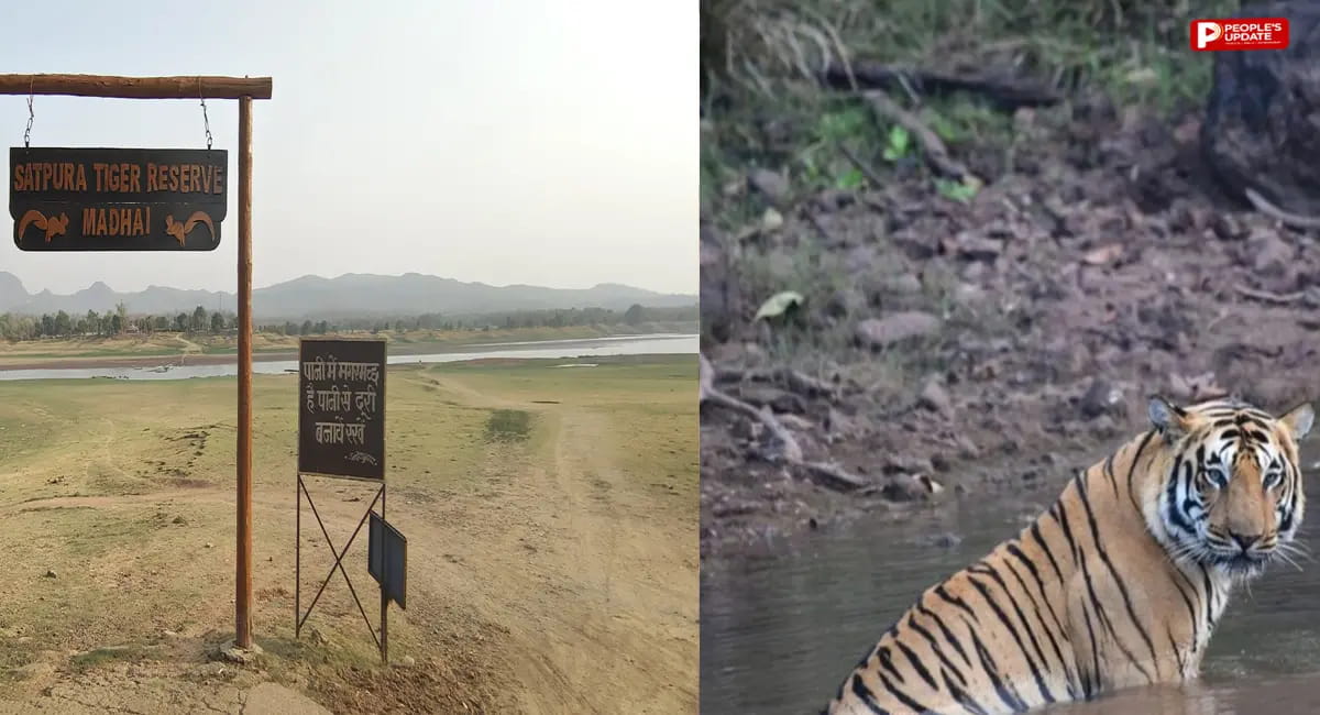 पानी घटते ही बंद हुई बोट सफारी, पैदल पहुंच रहे सैलानी