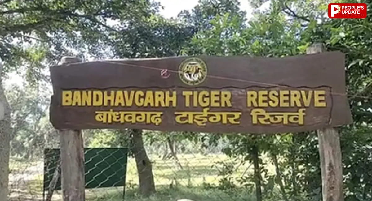 वन्यजीवों को केनाइन वायरस से बचाने के लिए तैयारी तेज, 1500 से ज्यादा आवारा कुत्तों का होगा टीकाकरण