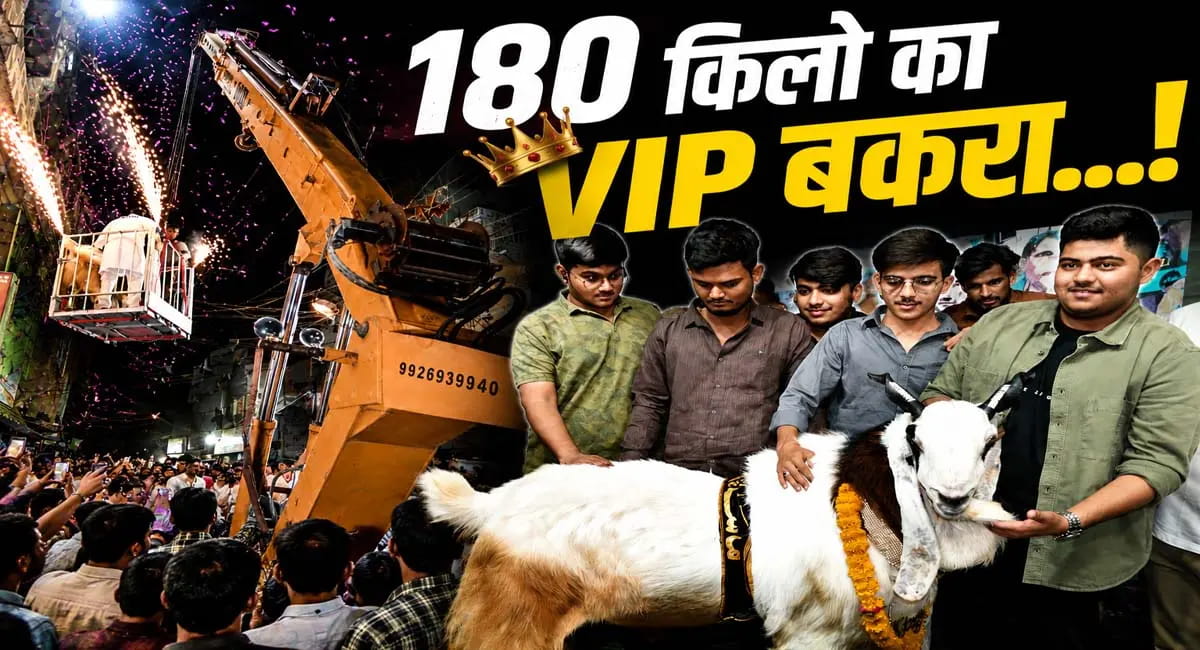 क्रेन से हुई 180 किलो के बकरे की एंट्री, कीमत सुन उड़ जाएंगे होश!