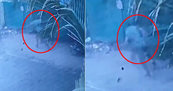 VIDEO : आंखों में मिर्च डालकर व्यापारी से लूट, CCTV फुटेज में भागते नजर आए बदमाश