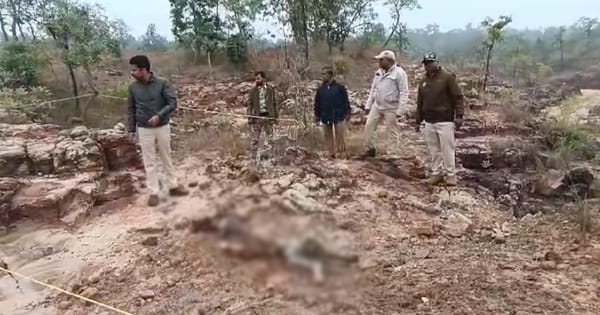 VIDEO : बांधवगढ़ टाइगर रिजर्व में फिर मिला बाघ का कंकाल, जांच में जुटा वन विभाग