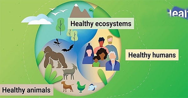 वन हेल्थ मिशन पर एक साथ काम करेंगे प्रदेश के चार विश्वविद्यालय