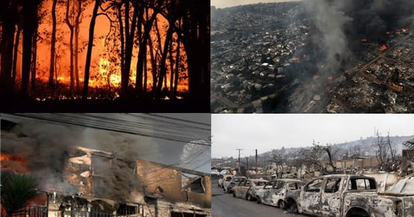 Chile Forest Fires : साउथ अमेरिकी देश चिली के जंगल में आग लगने से 100 से ज्यादा लोगों की मौत, लोग बोले- न्यूक्लियर बम फटने जैसे हालात