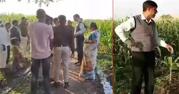 किसान को थप्पड़ मारने वाले तहसीलदार पर गिरी गाज, वीडियो वायरल होने पर कलेक्टर ने हटाया