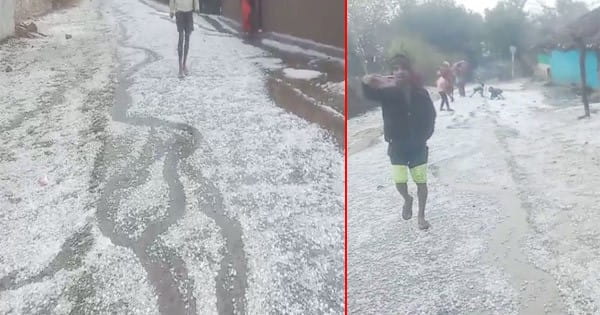 MP Weather Update : प्रदेश में फिर बदला मौसम का मिजाज, कई जिलों में तेज बारिश के साथ गिरे ओले, किसानों की फसलें बर्बाद; सड़कों पर बिछी बर्फ की सफेद चादर