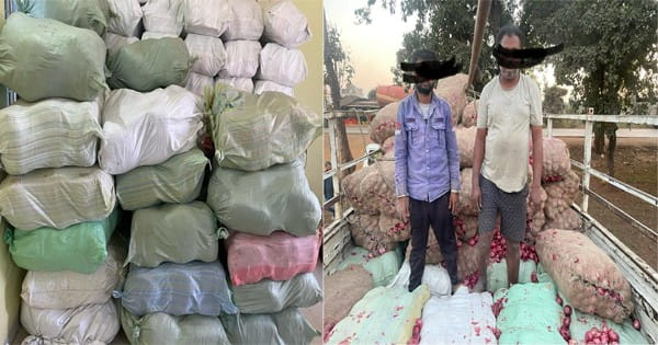 NCB ने इंदौर से किया 1326 किलो गांजा जब्त, प्याज के नीचे छिपाकर छत्तीसगढ़ से ला रहे थे, 2 तस्कर गिरफ्तार