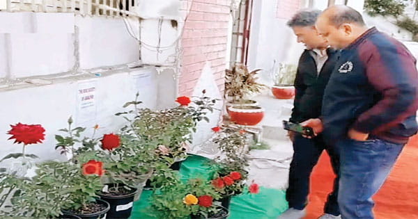इंडस्ट्रियल वेस्ट से गमलों में खिलाए गुलाब के फूल