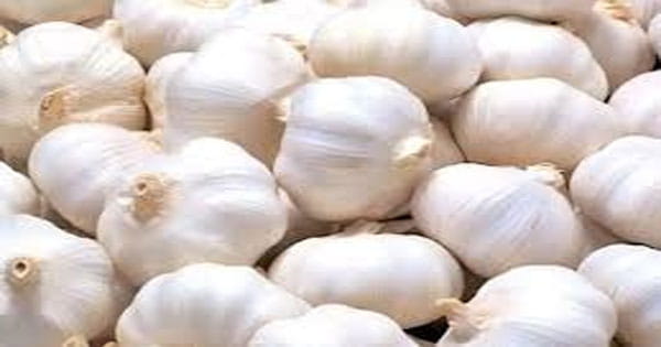 20 हजार की नौकरी छोड़ी, 1 फसल से कमाए 40 लाख