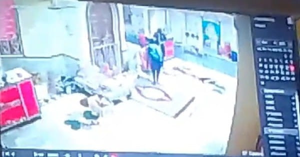 CG NEWS : जांजगीर-चांपा के प्रसिद्ध मनका दाई मंदिर से दान पेटी और सोने-चांदी के जेवर ले गए चोर, CCTV  में कैद हुई वारदात