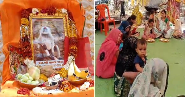 वानर राज की विधि-विधान से हुई तेरहवीं, निभाई गईं सभी रस्में, भजन संध्या के साथ भोज का भी हुआ आयोजन, पिंडदान के बाद मुंडन भी कराया   