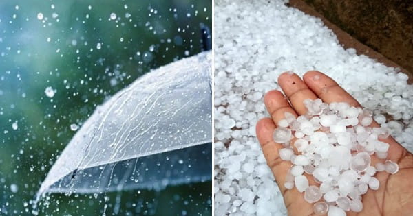 MP Weather Update : मध्य प्रदेश में गर्मी से मिलेगी राहत, 33 जिलों में ओले-बारिश का अलर्ट; आंधी चलने की भी आशंका