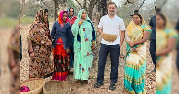जब महुआ बीन रहीं महिलाओं के बीच अचानक जा पहुंचे राहुल गांधी, दिया अपना परिचय, साथ में तोड़े और चखे फल