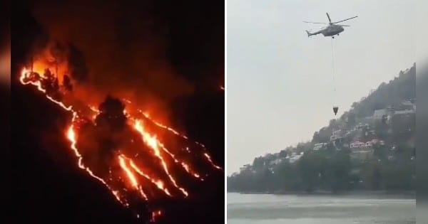 Uttarakhand Forest Fire : धधकते जंगल को बचाने बुलाई गई सेना, नैनीताल की हाईकोर्ट कॉलोनी तक पहुंचीं लपटें