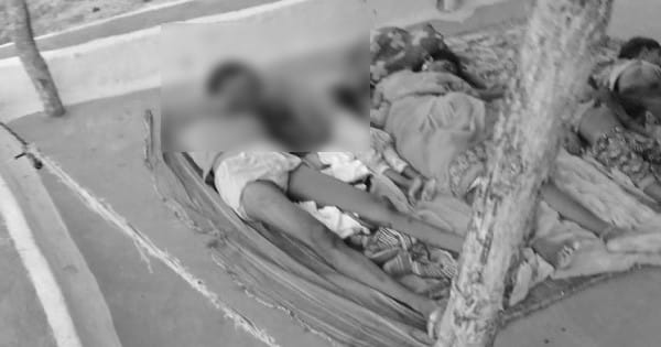 छिंदवाड़ा में सामूहिक हत्याकांड : युवक ने 8 लोगों की हत्या कर लगाई फांसी, पत्नी... मां-बहन, भाई-भाभी; भतीजा-भतीजियों को कुल्हाड़ी से काटा