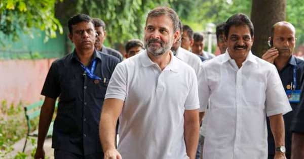 Exit Poll 2024 : एग्जिट पोल पर राहुल गांधी का पहला रिएक्शन, सिद्धू मूसेवाला के गाने का जिक्र कर बताई कांग्रेस की सीटें