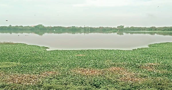 पद्मश्री भालू मोढ़े निगम से नाराज, चेतावनी-रामसर साइट का दर्जा वापस लेने एप्को और यूएन सचिव को लिखेंगे पत्र