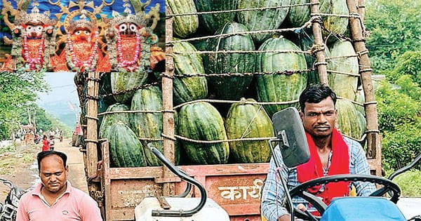 छिंदवाड़ा के झिरलिंगा गांव के कद्दू से बनता है पुरी का प्रसादम