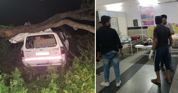 नर्मदापुरम में भीषण सड़क हादसा : सड़क से उतरकर पेड़ से टकराई तेज रफ्तार कार, 5 दोस्तों की मौत; 6 घायल