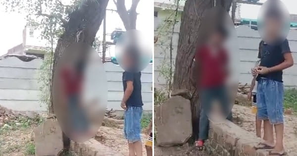 रील बनाने के चक्कर में 11 साल के मासूम की मौत, फांसी लगाने की एक्टिंग कर रहा था बच्चा, तभी पैर फिसला और...