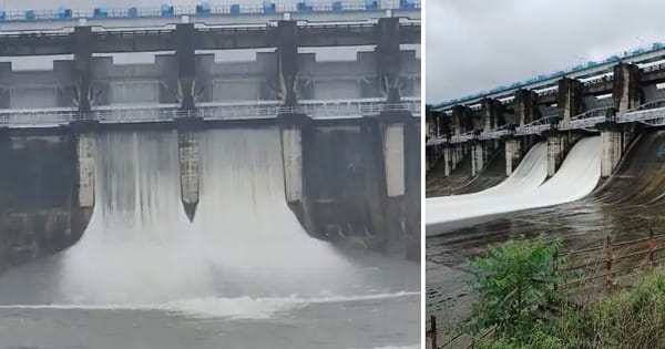 भोपाल में झमाझम बारिश : कोलार डैम के 2 गेट खुले, भदभदा डैम के भी खोले जा सकते हैं गेट